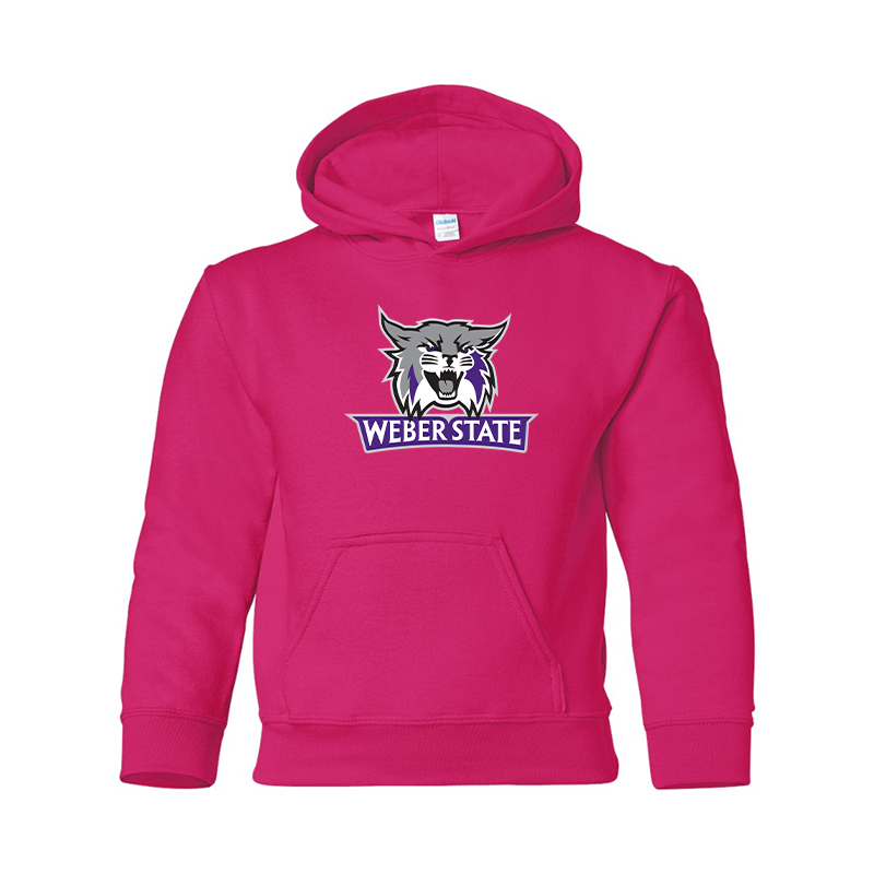 Youth Weber State Wildcats Gildan Heavy Blend  Hooded Sweatshirt